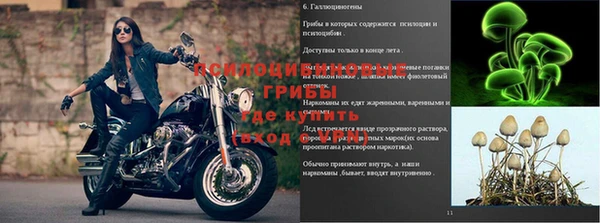гашик Магадан